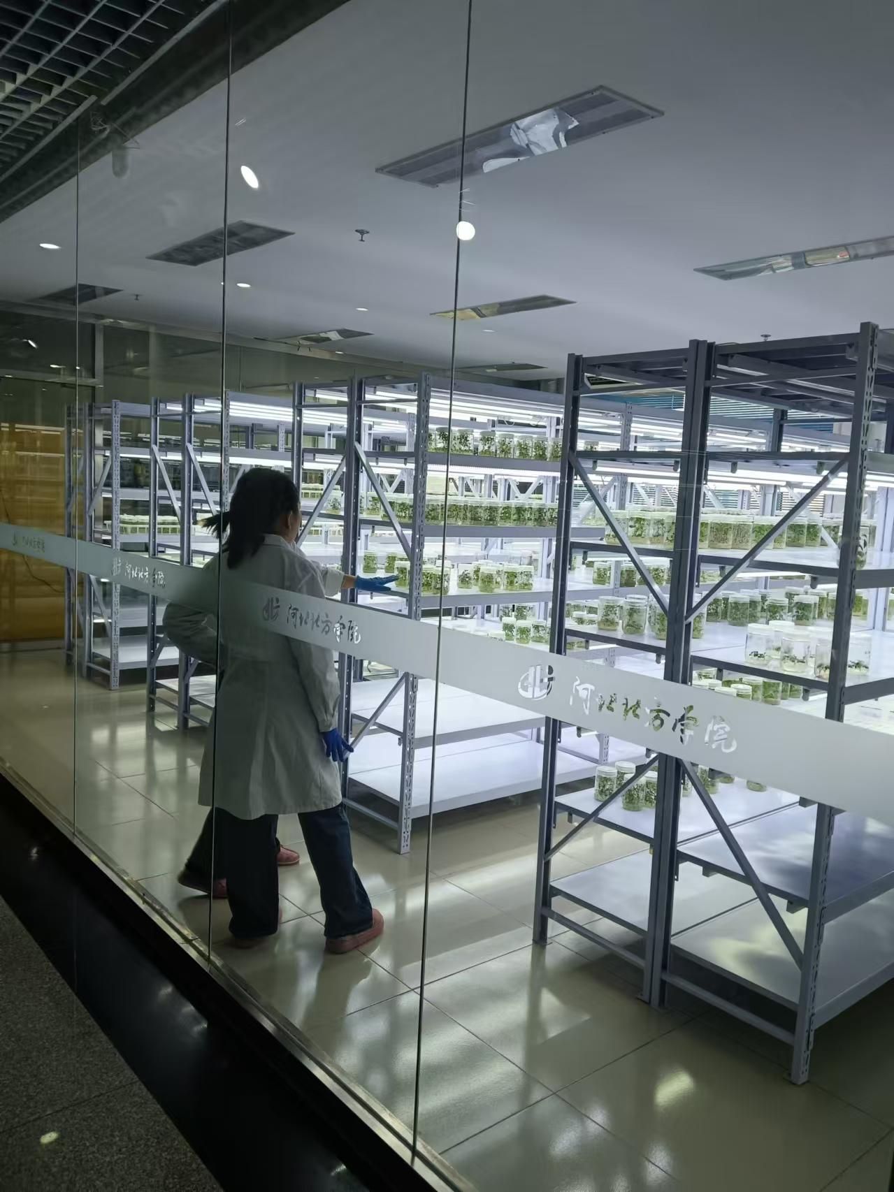 房山植物组培室设计的基本布局有哪些？